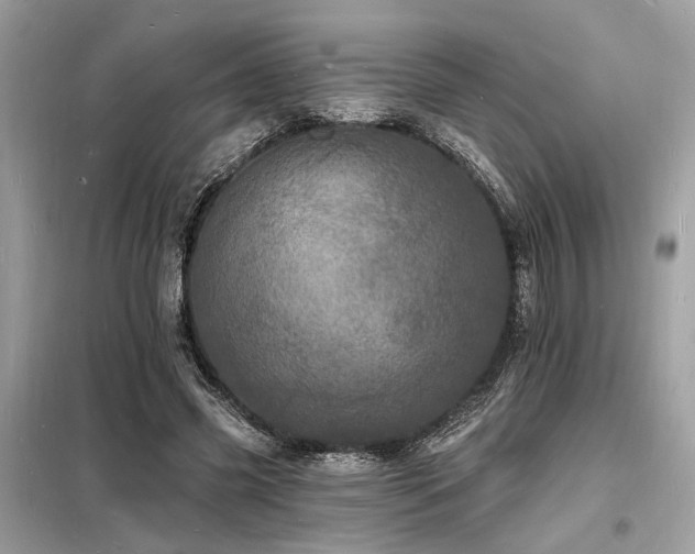 X0000098230541200804241342