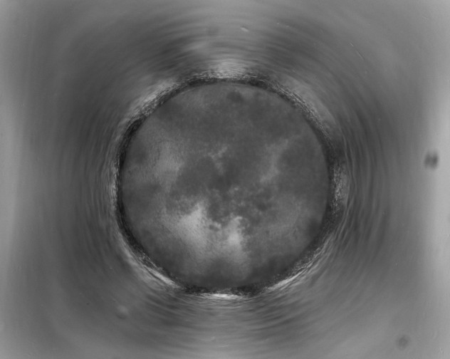X0000098230542200804241342