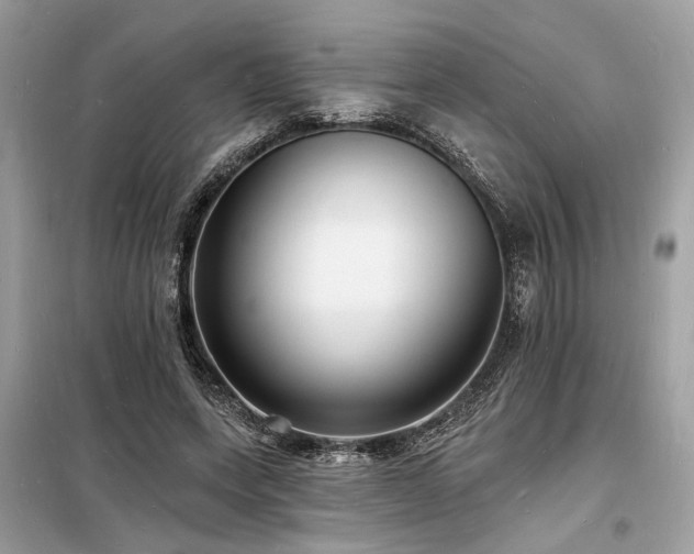 X0000098230543200804241342