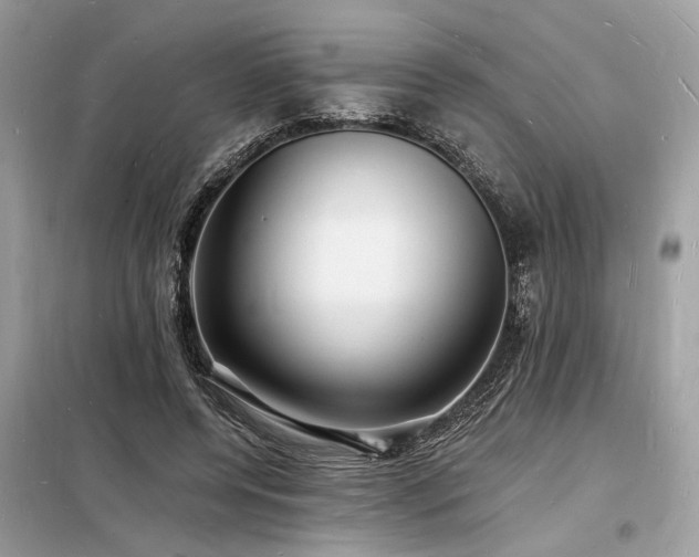 X0000098230544200804241343