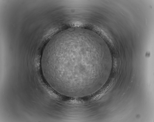 X0000098230545200804241343