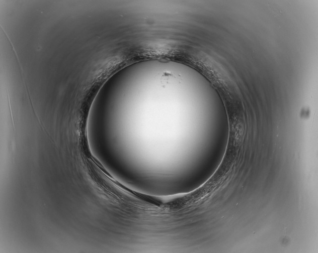 X0000098230546200804241343