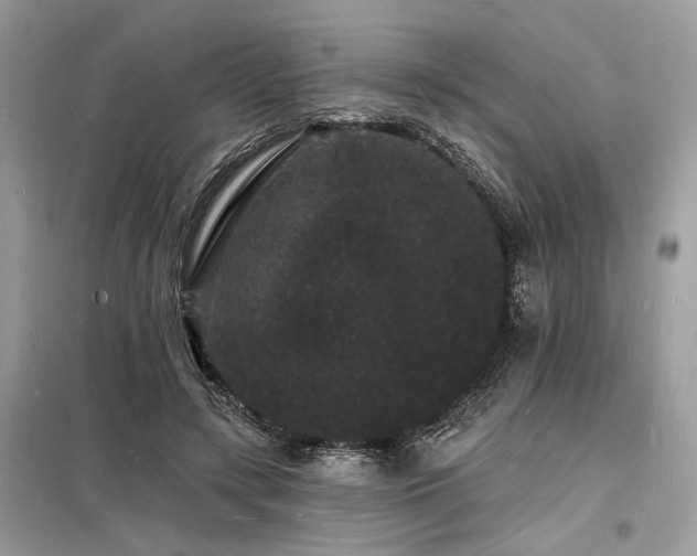X0000098230547200804241343