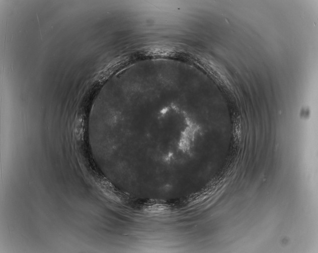 X0000098230551200804241343