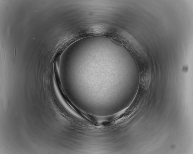 X0000098230552200804241343