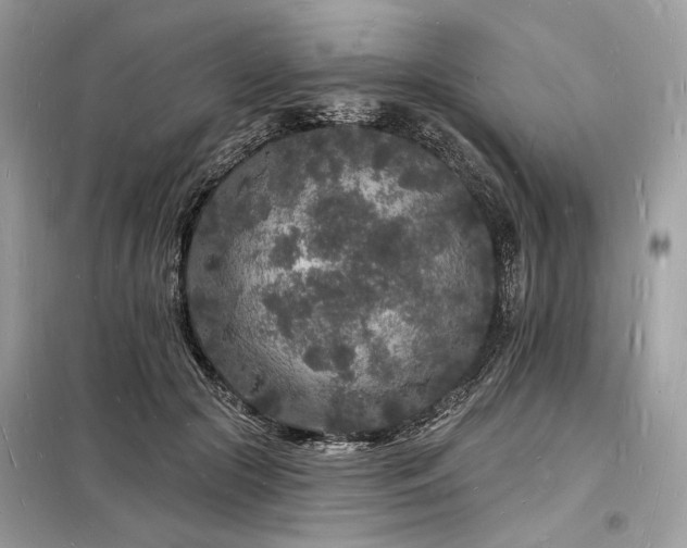 X0000098230553200804241343