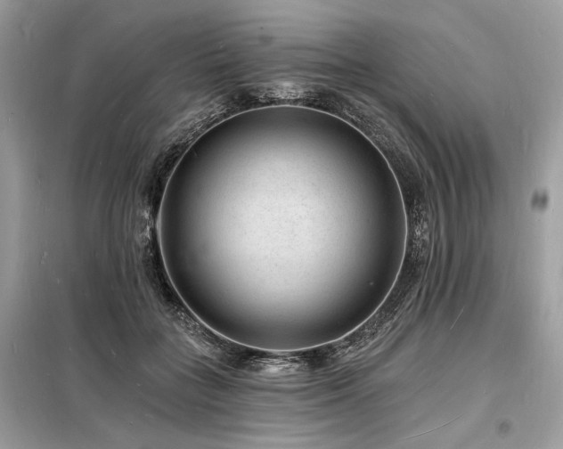 X0000098230555200804241343