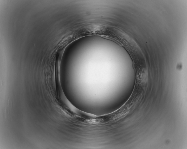 X0000098230558200804241343
