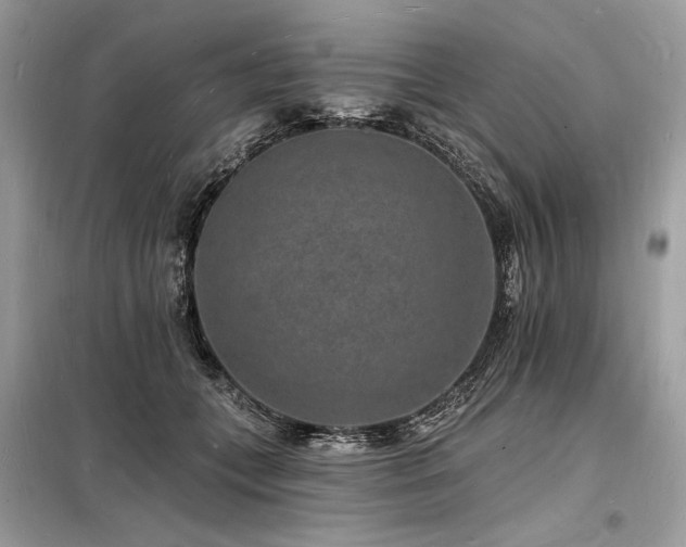 X0000098230559200804241343
