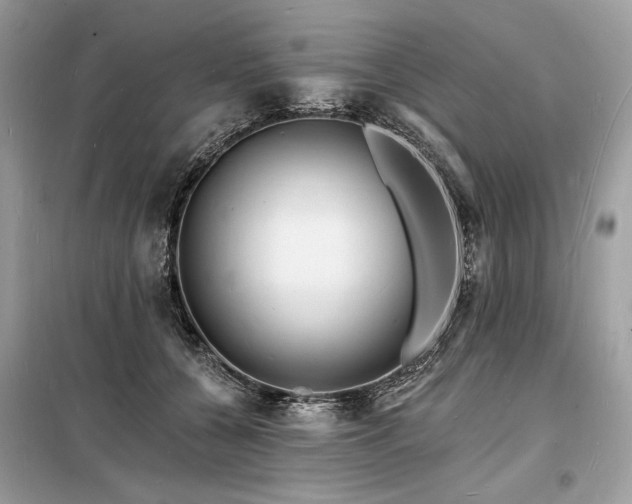 X0000098230560200804241343