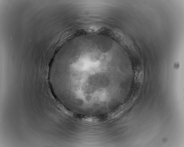 X0000098230561200804241343