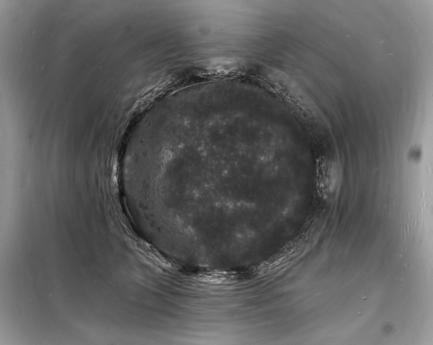 X0000098230563200804241343