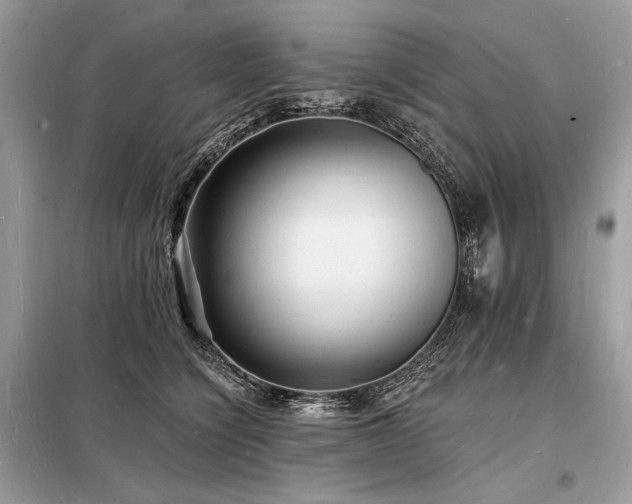 X0000098230564200804241343
