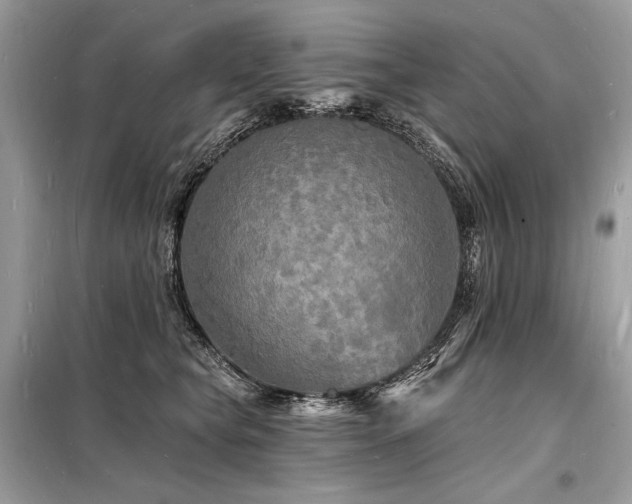 X0000098230565200804241343