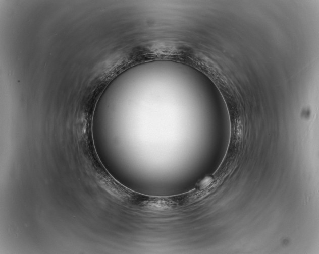 X0000098230567200804241343