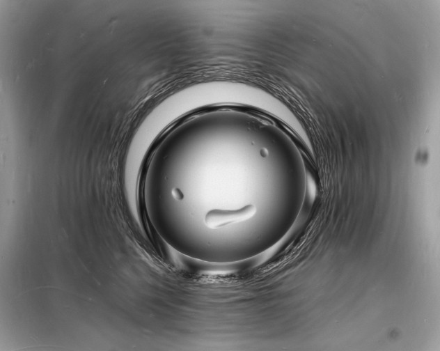 X0000098230568200804241343