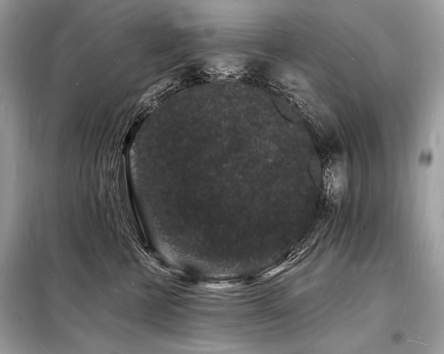 X0000098230570200804241343