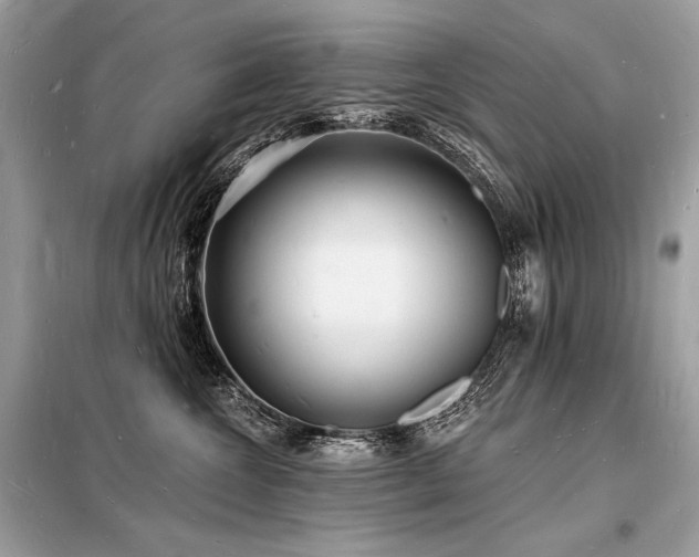 X0000098230572200804241343