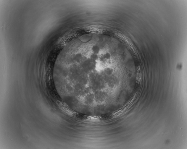 X0000098230573200804241343