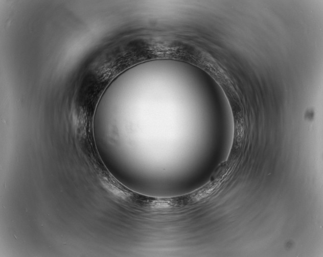 X0000098230574200804241343