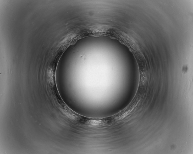 X0000098230575200804241343