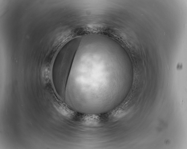X0000098230576200804241343