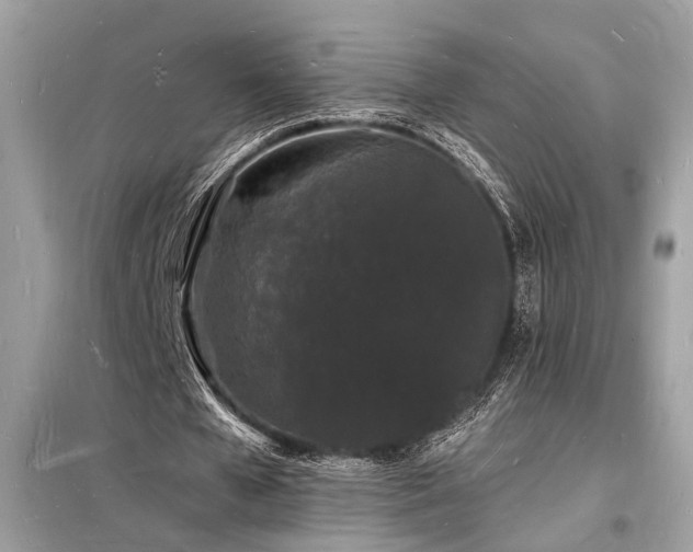 X0000098230577200804241342