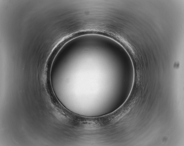 X0000098230580200804241342