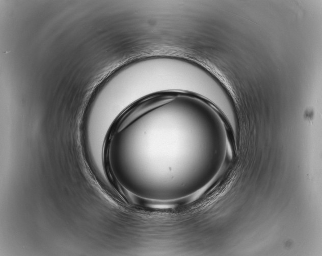 X0000098230581200804241342