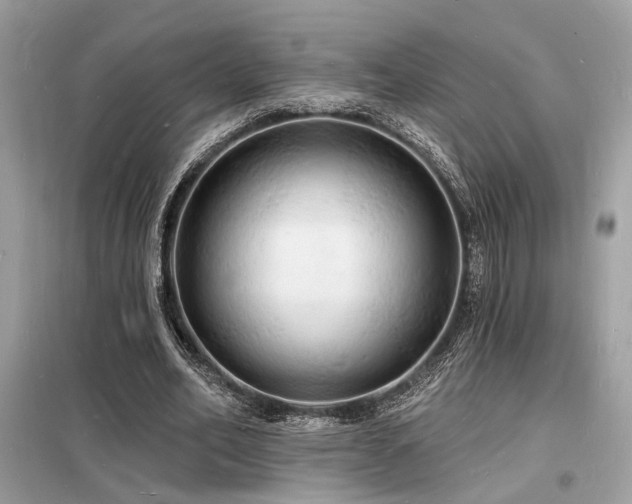 X0000098230582200804241342