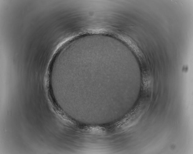 X0000098230583200804241342
