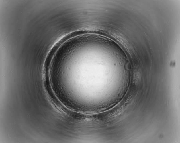 X0000098230584200804241342