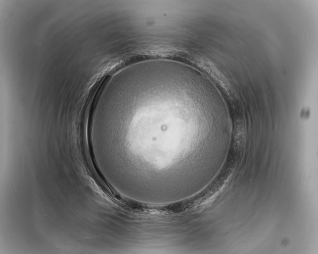 X0000098230585200804241342