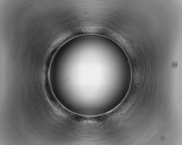 X0000098230586200804241342