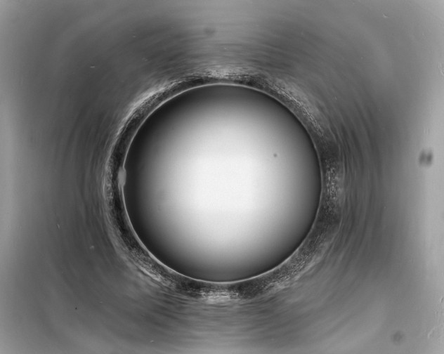 X0000098230587200804241342