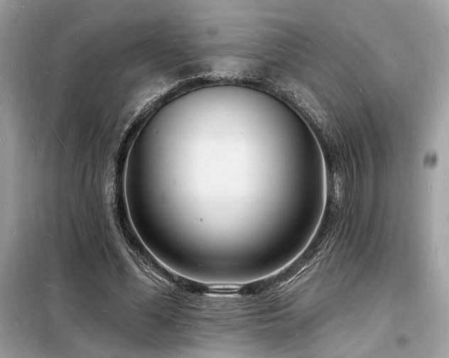 X0000098230588200804241342
