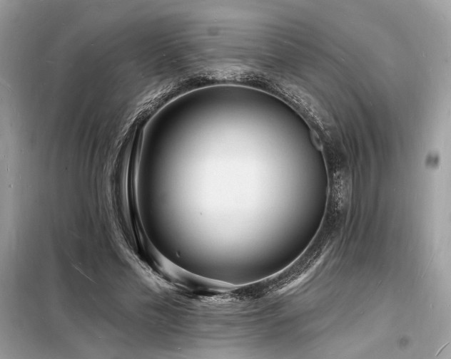 X0000098230589200804241342