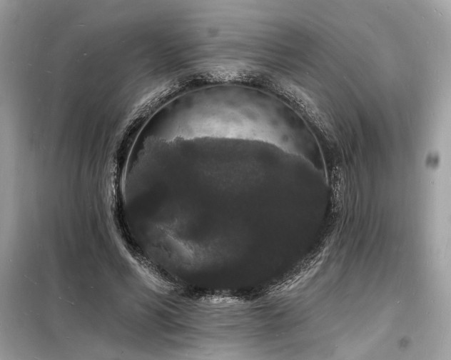 X0000098230590200804241342