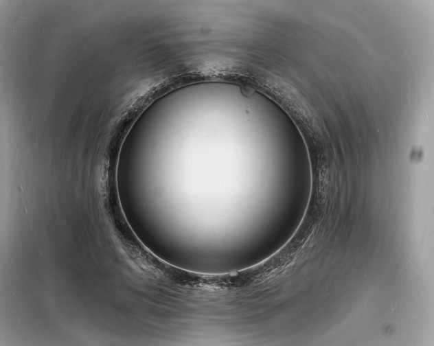 X0000098230592200804241342