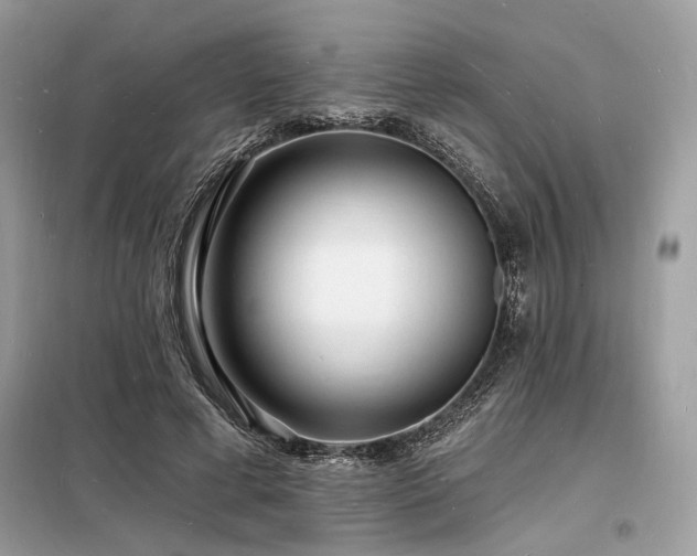 X0000098230593200804241342