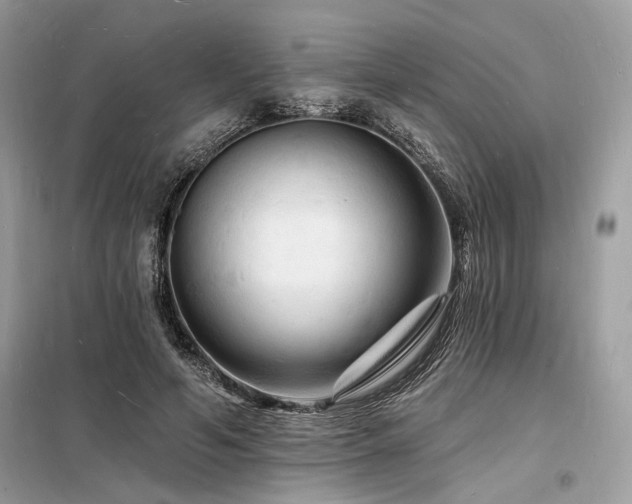 X0000098230594200804241342