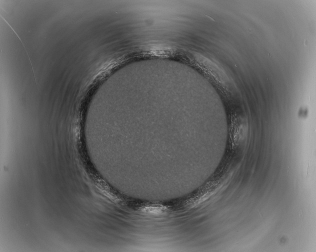 X0000098230595200804241342