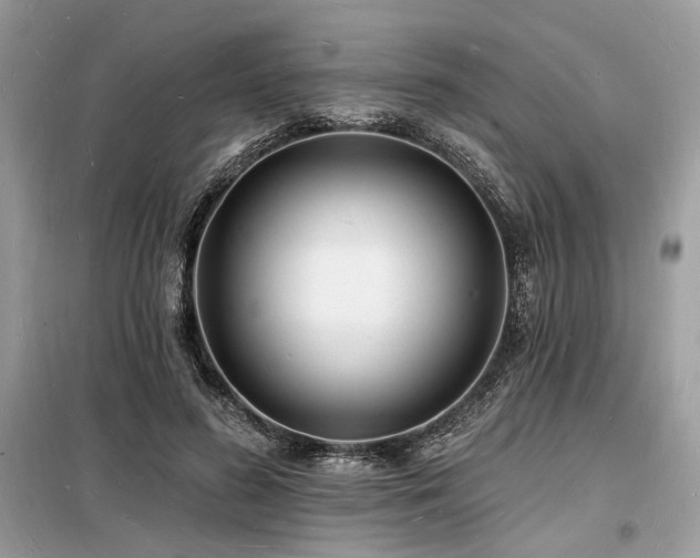 X0000098230596200804241342