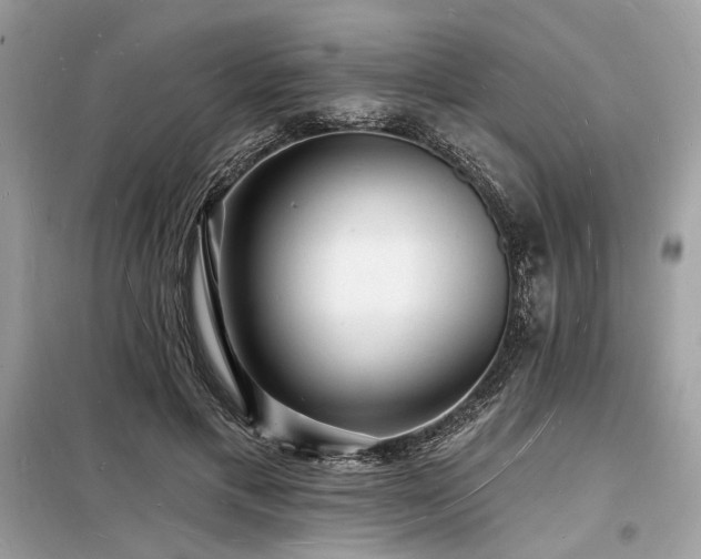 X0000098230597200804241342