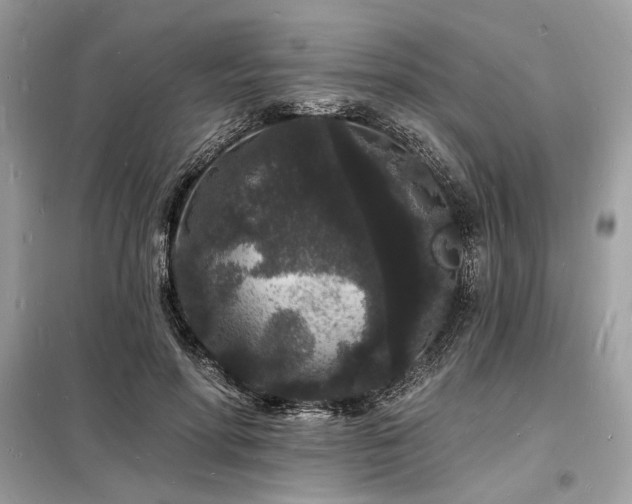 X0000098230598200804241342