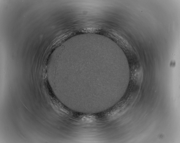 X0000098230599200804241342