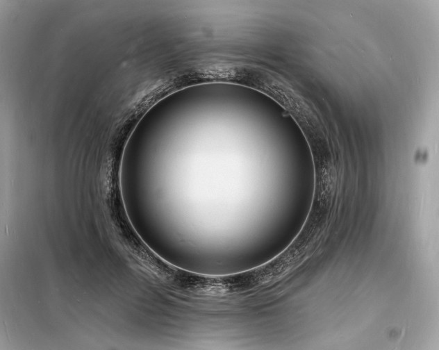 X0000098230600200804241342