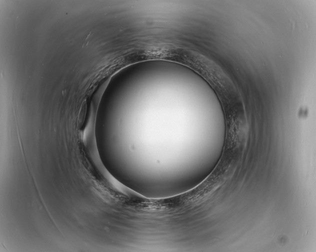 X0000098230601200804241342
