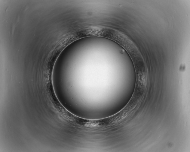 X0000098230602200804241342