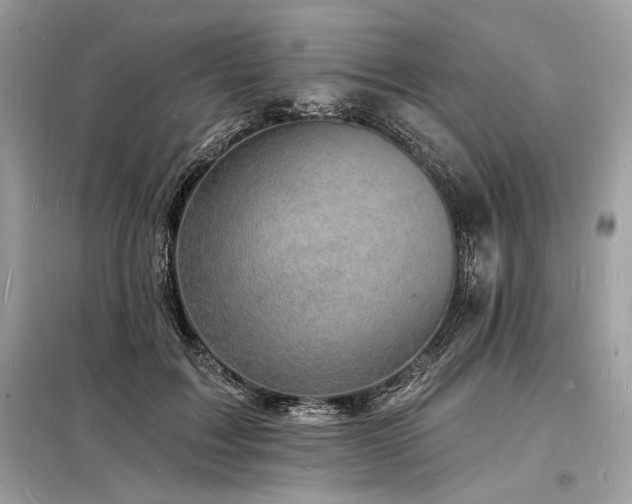 X0000098230603200804241342